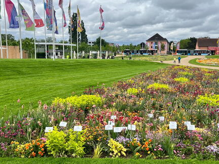 23-05-16 10-54-47 5386